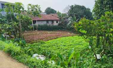 Dijual Cepat Tanah jl. Salabenda Raya jl. Kp. Setu Bojong Kemang Bogor