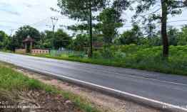 Tanah Dijual di Jl. Lintas Sumatera, Tegineneng