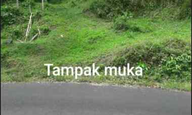 Tanah Dijual di Jl. Parigi Desa Pasangrahan Sukajaya
