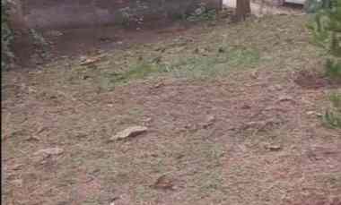 Jual Tanah di Mijen Kota Semarang dekat RSUD Mijen, Pasar Mijen