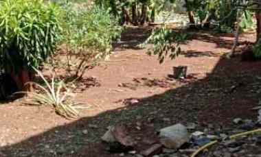 Tanah Kavling SHM Siap Bangun di Komplek Palem Asri Pondok Kelapa