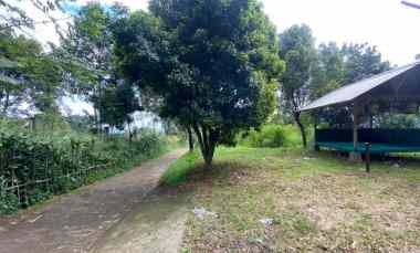 Tanah Luas di Cijereuk View Pegunungan Cocok untuk Usaha