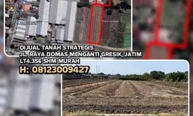 Dijual Tanah Strategis jl. Raya Domas Menganti Gresik, Jatim. Lt4.356