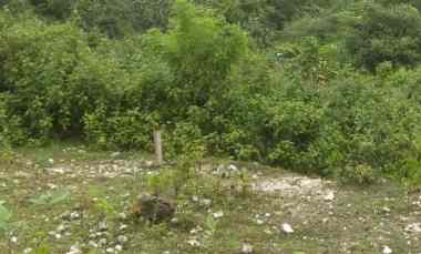 dijual tanah jl raya kampial
