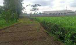 Tanah Sawah Luas,Murah dan Sangat Strategis,Pinggir Jalan Provinsi