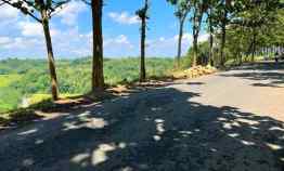 Dijual Tanah 20 Hektar Tepi Jalan Raya Kerjo Karanganyar