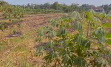 Dijual Bisa atau di Sewa Bisa Ruang Usaha di Ngaliyan Semarang