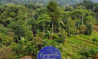 Tanah dengan View Istimewa dan Air Terjun di Ketinggian - 790 Mdpl