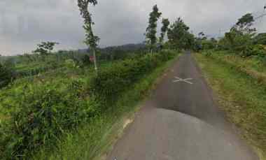 Jual Murah Tanah Luas 7,8 Ha Wonosalam Jombang Cocok Buat Investasi