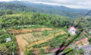 Jual Tanah di Gunung Kidul Yogyakarta Luas 3.000 m2 Pinggir Jalan