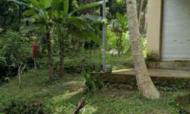 dijual tanah jl sedap malam br ketagon
