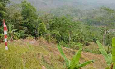 dijual tanah jl singatuwuh