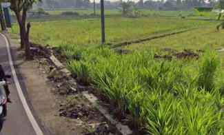Tanah MURAH, Utara Jalan Bibis Selatan Perempatan Munggur Jalan Godean