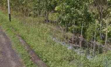 dijual tanah jl teterusan mapanget