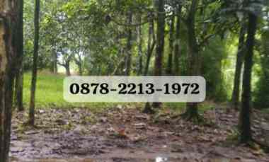 Tanah Dijual di JL. . RAYA TRANSYOGI CILEUNGSI