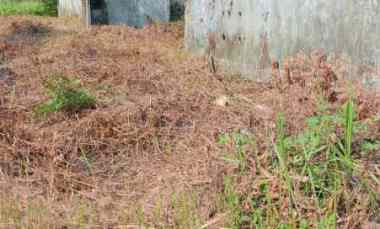 Jual Cepat Tanah SHM Komplek Daru Permai di Tigaraksa, Tangerang