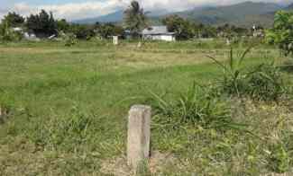 Tanah Dijual di Jln. Bangsal Baru, Pemenang Timur Lombok Utara, NTB.