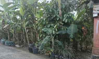 Tanah Dijual di Jln. I Wayan Teruna