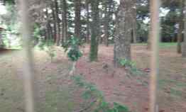 Tanah Dijual di Jln lodaya gunung geulis sukaraja