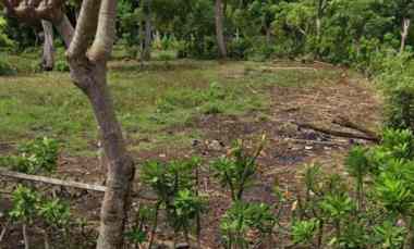 Dijual 6,66 are, jl. Pantai Balangan Jimbaran Atas Kuta Selatan