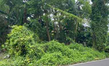 Dijual 9,9 are, jl. Veteran Raya Tumbak Bayuh Pererenan Mengwi