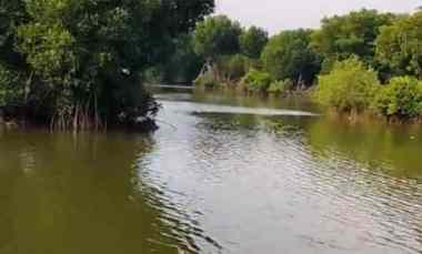 Dijual Lahan Tanah Empang 8 Hektar Harga Murah Muarajaya Pantai Mekar