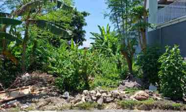 dijual tanah kampus udayana