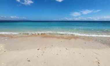 Dijual Tanah Los Pantai di Sumba Timur Hamba Praing Kanatang NTT