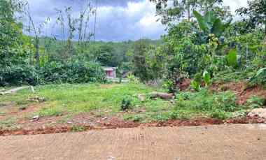 Dijual Tanah Murah 100 juta Karangpandan