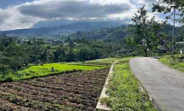 Tanah Dijual di Karangpandan, Karanganyar, Solo, Jawa Tengah