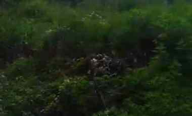 Dijual Tanah Kavling di Pedurungan Semarang