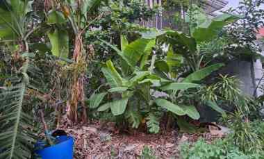 Tanah Kavling Hadap Timur di Kavling Kowilhan Jakarta Timur