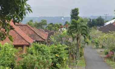 Tanah Dijual di Kayu Putih, Buleleng, Bali