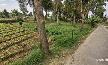 Tanah Dijual di Kebon hui