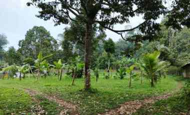 Dijual Tanah Kebun 7880 m2 di Baturiti Tabanan Bali