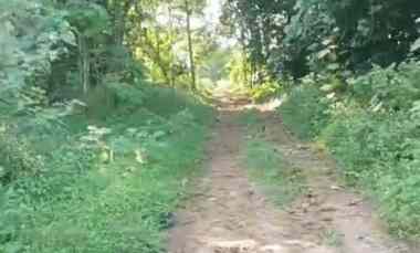 dijual tanah kebun akses jalan mobil