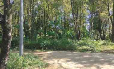 Dijual Tanah Kebun Cengkeh Udara Sejuk