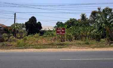 Dijual Tanah Kebun di Subang