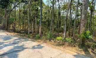 Tanah Dijual di Karangpandan, Karanganyar, Solo, Jawa Tengah