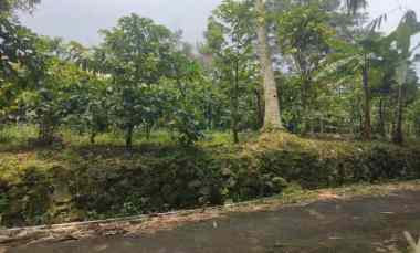 Tanah Dijual di Setia negara kec. cilimus kuningan