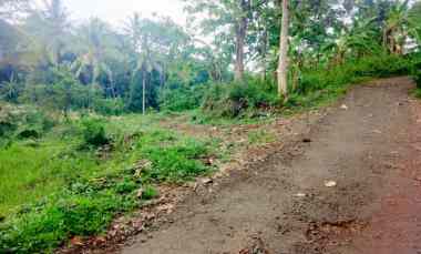 Dijual Tanah Kebun Mangga Pinggir jl Desa