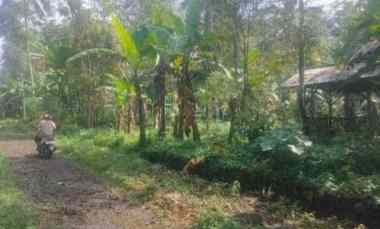 Dijual Tanah Kebun Pinggir Jalan Desa Mobil Truk Masuk