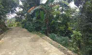 Dijual Tanah Kebun Pinggir jl Desa