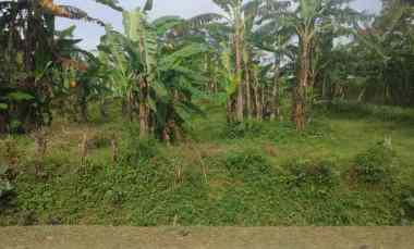 Dijual Tanah Kebun Pinggir jl Desa Lingkungan Penduduk