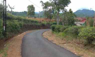 dijual tanah kebun produktif