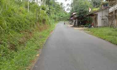 Dijual Tanah Kebun Produktif Pinggir Jalan