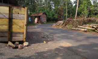 Dijual Tanah Kebun Produktif Pinggir Jalan Raya