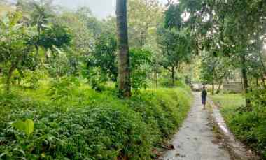 dijual tanah kebun strategis buat invest