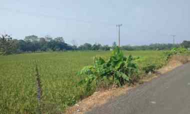 dijual tanah kec pancalng kab kuningan