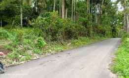 Tanah di Kedaung, Kemiling Luas 6000m Mangku Jalan Provinsi